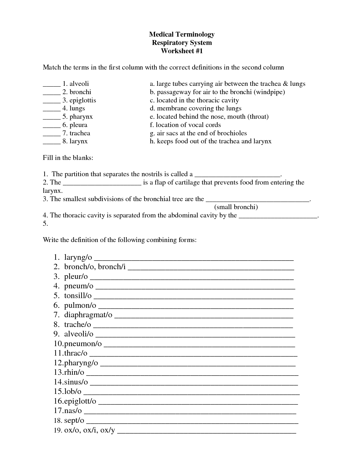 Applying Medical Terminology Worksheet
